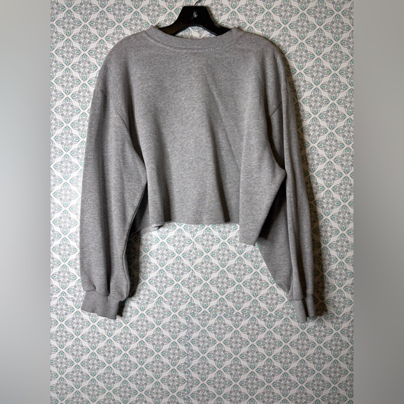 The North Face Light Gray crop top sweater - Picture 3 of 4
